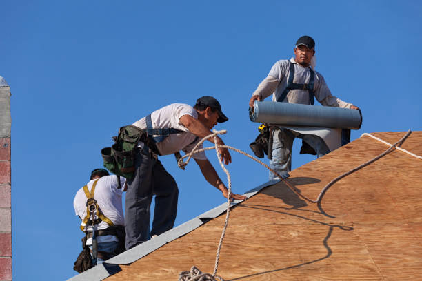 Best Roof Repair Services  in Lake Vla, IL