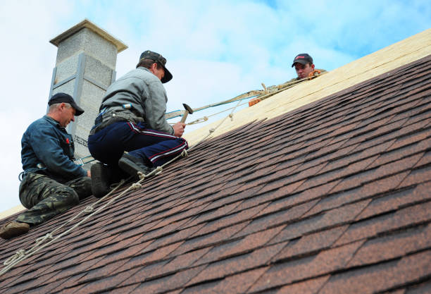 Best Roof Replacement Cost  in Lake Vla, IL