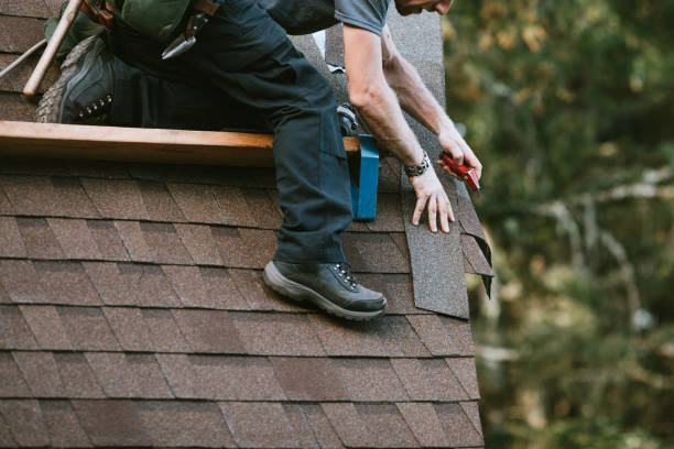 Best Flat Roof Repair Services  in Lake Vla, IL